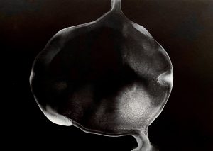 ©Sylou LE RHUN-Les Nuées VI 2025 ©ADAGP 2025