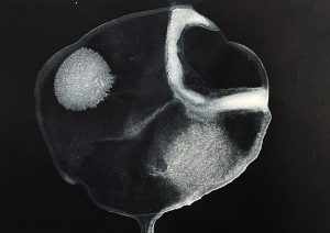 ©Sylou LE RHUN-Les Nuées VII 2025 ©ADAGP 2025